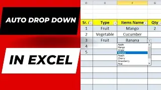 How to Create Drop Down List in MS Excel