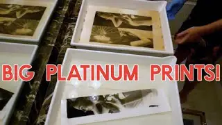 Making HUGE Platinum Prints for a Gallery Exhibition! (Behind-the-Scenes + Pro Tips)