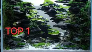 Giải thi đấu thủy sinh VNAC 2024 | Top 1 - 3 | Top 20 hồ thủy sinh đẹp nhất