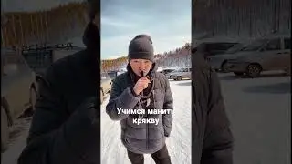 Манок на крякву Кынат 