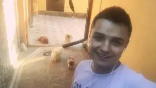 Женя Белозёров приглашает всех на фестиваль Видео Жара