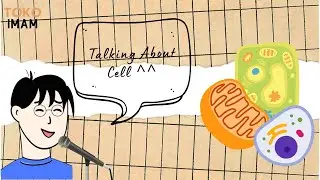 (BMD) Talking about cell : other cellular alteration during injury