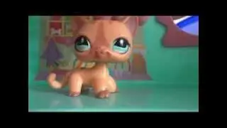 блог Лианы№3(идеи,которые не были воплощены)