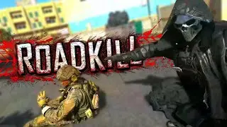 Roadkill ☠️