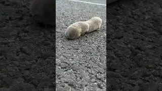 ТЫ КТО ТАКОЙ? 