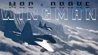 Project Wingman