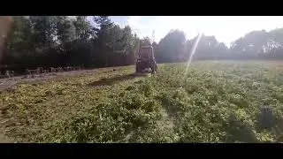 Скашиваю измелчаю ботву. Трактор Т25