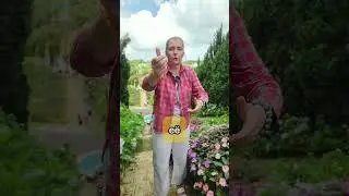 Чистка от прокрастинации #чистки #энергетическоеочищение #энергетическиепрактики #асмрвидео #асмр
