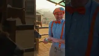 Blippi Pet Zoo #blippi #kids