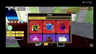 Showing my progress in Blox fruits