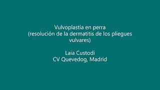 Vulvoplastia en perra