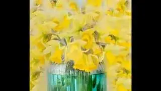 Flower Art.wmv