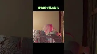 そんな所で遊ぶな