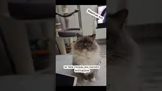 Держись подальше 