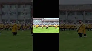 Ойраты в округе Хэнань