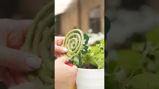 Подставки под арамотические палочки и реппеленты