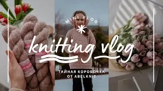 vlog 14/24 | готовая работа 🧶 свитер Storm от PetiteKnit ✨️ итоги сп #тайная_коробочка от Abelknit