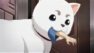 Dog eats person, and... (GTF)