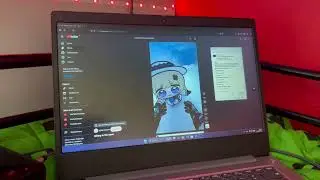 Phoebe chupi crying to see owner alive has BSOD