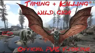 Ark Official PVE: Taming & Killing wild Giga