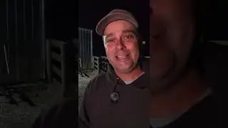 My new Favorite Security Camera - Reolink Elite Floodlight