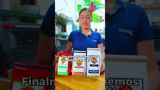 Conozca los híbridos F1 de café del CATIE