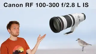 Neues Traumobjektiv für Tierfotografen? Canon RF 100-300mm f/2.8 L IS vorgestellt