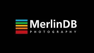 Welcome to MerlinDB Photography