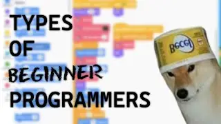 5 Types of BEGINNER Programmers