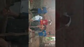 bocil
