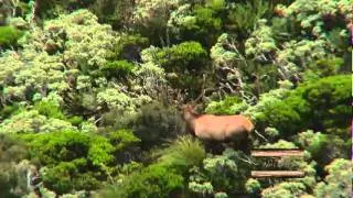 Hunting Aotearoa S5 Ep01 Teaser