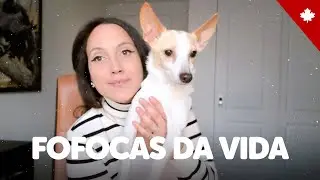 PAREI COM O CANAL? Volta para o Canadá, planos futuros, viagens e fofoquinhas da vida ❤️