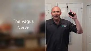 What Happens In Vagus DOESN'T Stay In Vagus with Dr. Tim | Optimized Wellness Center