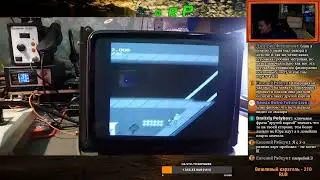 Старушка с мухобойкой.