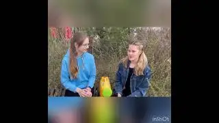 Субботник