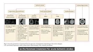 Dyslipidemia Treatment and Cerebrovascular Disease: Evidence Regarding the Mechanism of Stroke