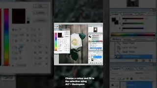 Photoshop tutorial | How to change colour of white rose | Photoshop editing video |Tutorial videos