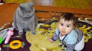 Baby wants to hug the Cat