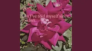 Lies I've told myself since you left