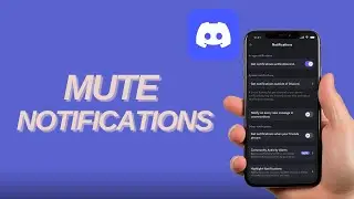 How To Mute Notifications On Discord Mobile In 2026 (Easiest Method)
