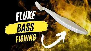 The ONLY SEPTEMBER Bass Lure you Need!