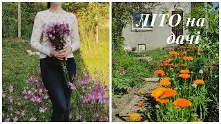 Літо на дачі 🏡 Нарешті нове відео📽️ Купили дачу ч 34