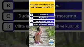 2024 ağustos ehliyet sınav soruları  #ehliyetanimasyonlusorular #ehliyetsinavsorulari #kpss