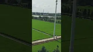 Fields near Shanghai China