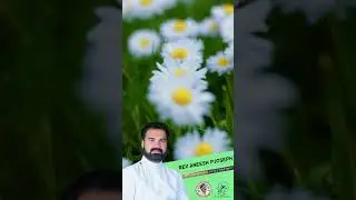 നിന്റെ പരിമിതികളിൽ ദൈവം നിനക്കുവേണ്ടി പ്രവർത്തിക്കും |😇 | Rev. Aneesh P Joseph | #shorts #motivation