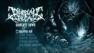 Display of Decay - 