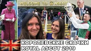 Королевские скачки Royal Ascot / Жизнь в Англии #12