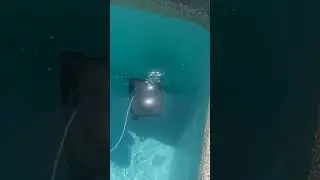 Робот пылесос AquaViva 7320. Первый запуск
