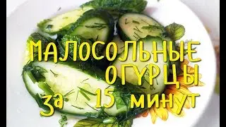 Супер БЫСТРЫЕ МАЛОСОЛЬНЫЕ ОГУРЦЫ за 15 минут! Рецепт в ПАКЕТЕ!