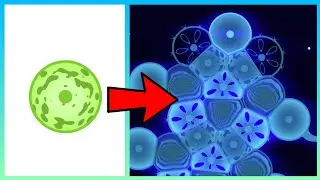 From Microscope To Epic || *2K Subscribers Special*